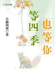 等你在四季简谱