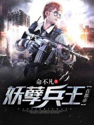 妖孽兵王免费